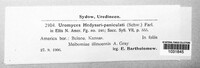 Uromyces hedysari-obscuri image